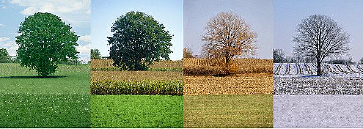 2D动作游戏《九魂的久远》试玩Demo上线 5月30日正式发售