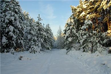 PUBG×pigff联名皮肤开售，HOT TIME活动赠送800G-Coin!