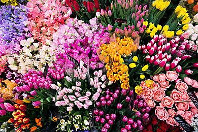 Xbox总裁表示：2022年次世代主机供应仍然紧张